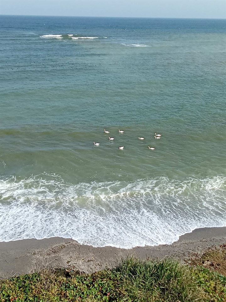 Морето отблизо